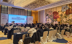 肺癌围术期免疫治疗管理规范化诊疗巡讲暨免疫围术期治疗赋能医院高质量发展会圆满举办 聚焦肺癌围术期诊疗规范化,共绘医院高质量发展新蓝图